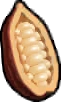 cocoa