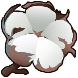 cotton